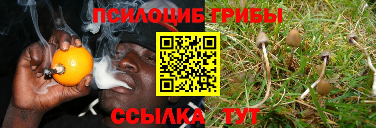 купить наркоту  Галлюциногенные грибы ЛСД  Вход с VPN  Галлюциногенные грибы GOLDEN TEACHER  Нижневартовск 