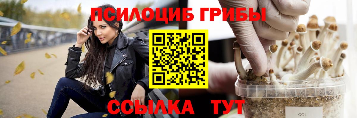 Галлюциногенные грибы мицелий Нижневартовск